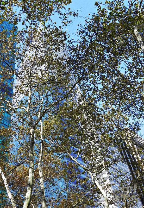 Park Art Print featuring the photograph Looking Up from Bryant Park in Autumn by Sarah Loft