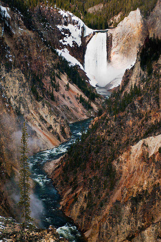 Yellowstone Art Print featuring the photograph Lower Falls by Glenn Fillmore