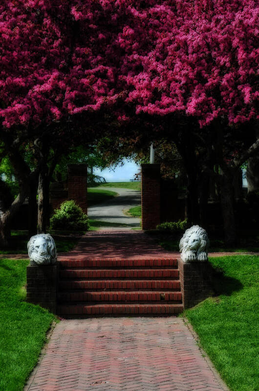 Park Art Print featuring the photograph Lynch Park by Mike Martin