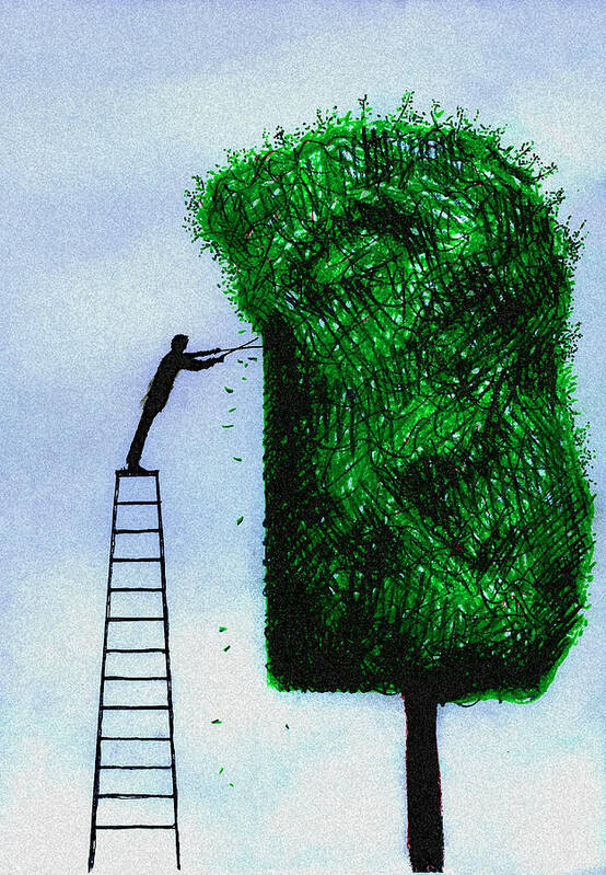 Adult Art Print featuring the photograph Man On Ladder Trimming Tree by Ikon Ikon Images