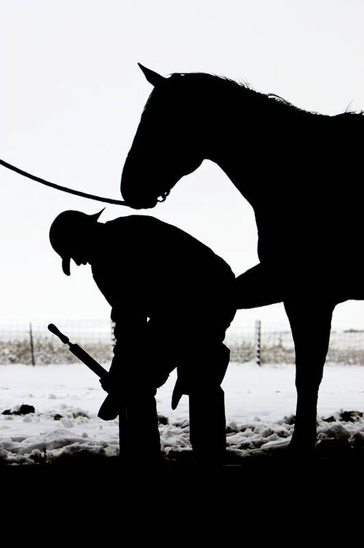 Farrier Art Print featuring the photograph Manicure by Jack Milchanowski