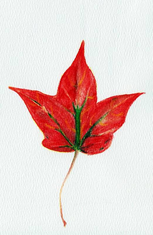 Maple Art Print featuring the painting Maple Leaf by Anastasiya Malakhova