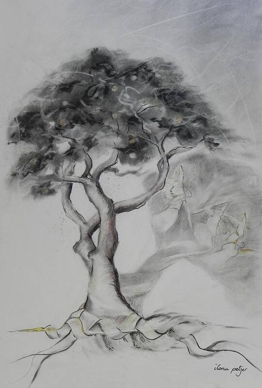 Tree Art Print featuring the painting Marula the provider by Ilona Petzer
