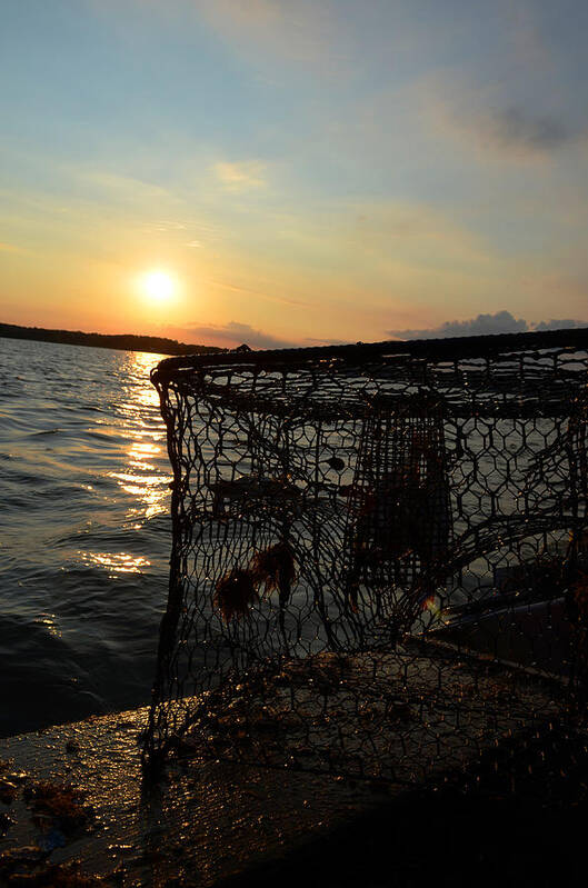 Maryland Art Print featuring the photograph Maryland Crabber's Horizon by La Dolce Vita