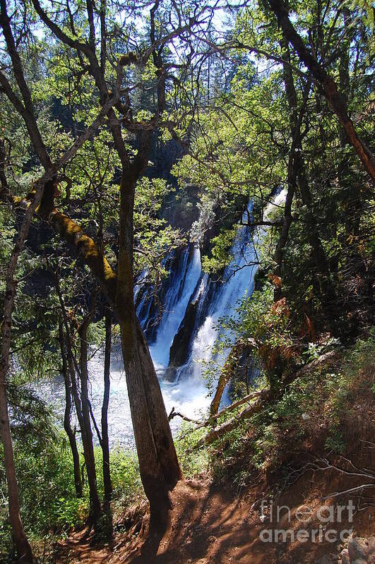 Mcarthur-burney Falls Memorial State Park Art Print featuring the photograph McArthur-Burney Falls Side View by Debra Thompson