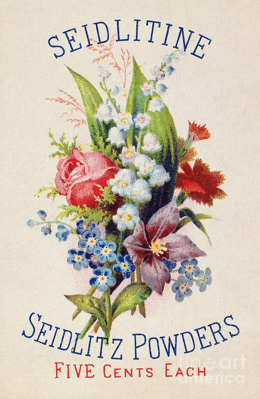 1880 Art Print featuring the photograph MEDICINE TRADE CARD, c1880 by Granger