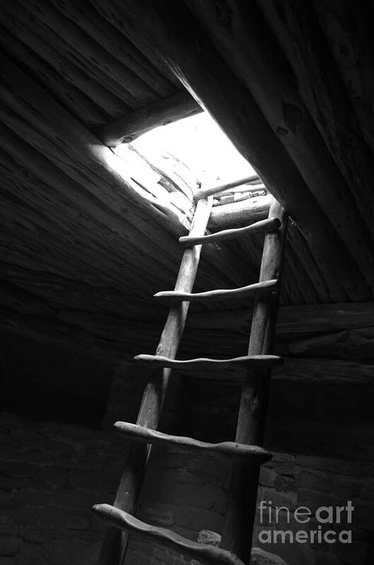 Mesa Verde Art Print featuring the photograph Mesa Verde National Park Kiva Ladder Black and White by Shawn O'Brien