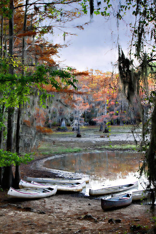 Autumn Art Print featuring the photograph Mill Pond Canoes by Lana Trussell