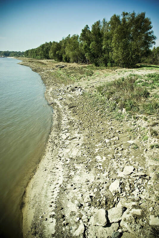 Mississippi Art Print featuring the photograph Mississippi River in Louisiana by Ray Devlin