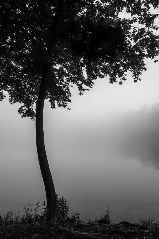  Art Print featuring the photograph Mist and Serenity by Mark Rogers