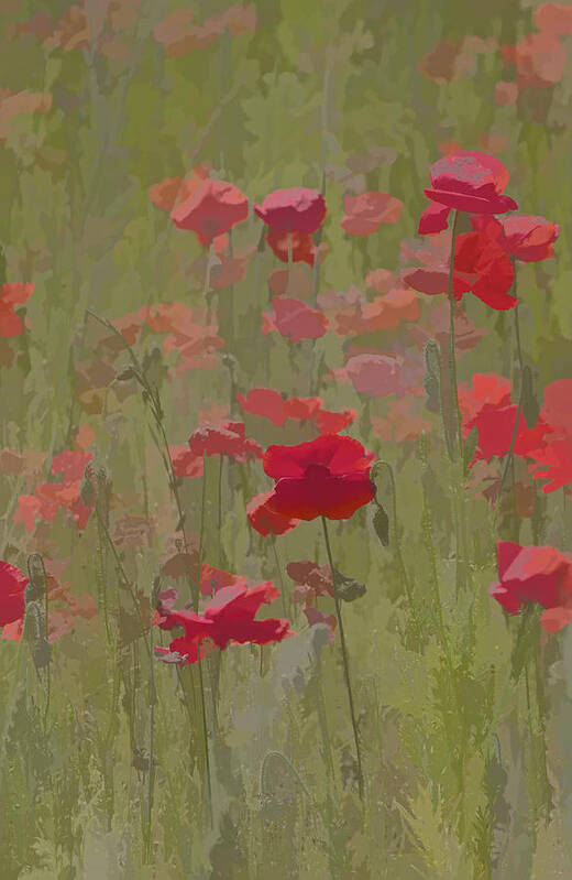 Abstract Art Print featuring the photograph Monet Poppies by David Letts
