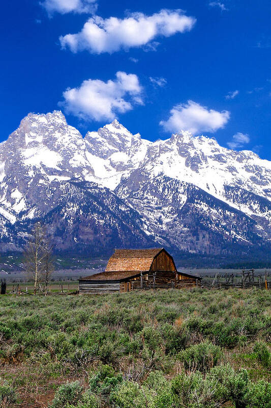 Sage Art Print featuring the photograph Mormon Barn by Douglas Barnett