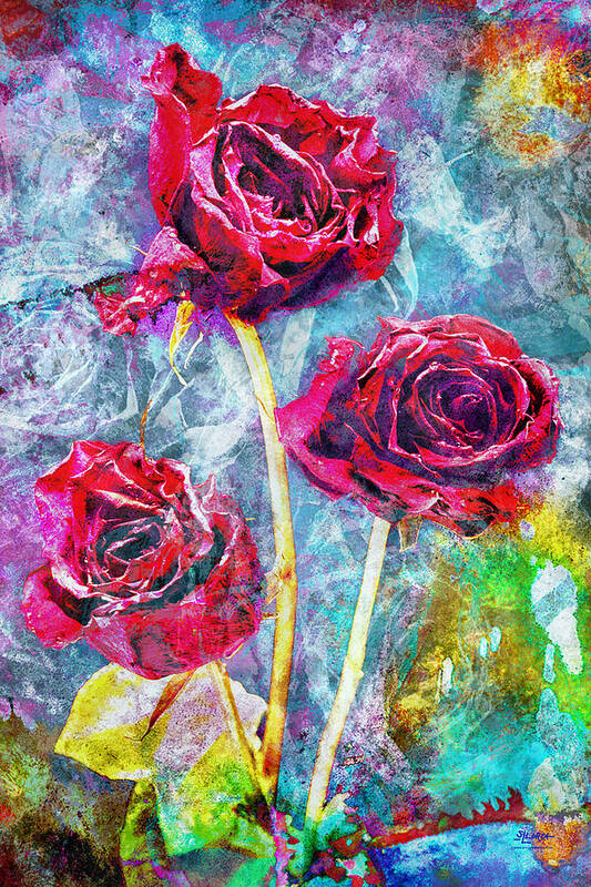 Mothers Day Art Print featuring the photograph Mothers Day Rose by Steven Llorca
