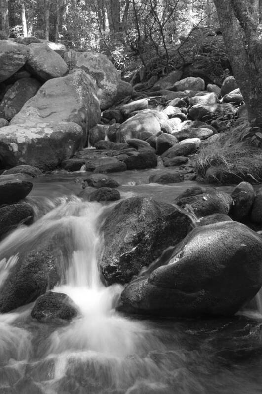Brook Art Print featuring the photograph Mountain Stream Monochrome by Larry Bohlin