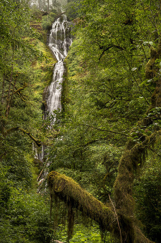 Photography Art Print featuring the photograph Munson Creek Falls by Lee Kirchhevel