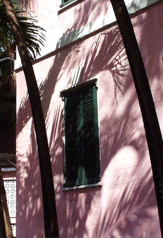 Architecture Art Print featuring the photograph Nassau Pink by Deborah Smith