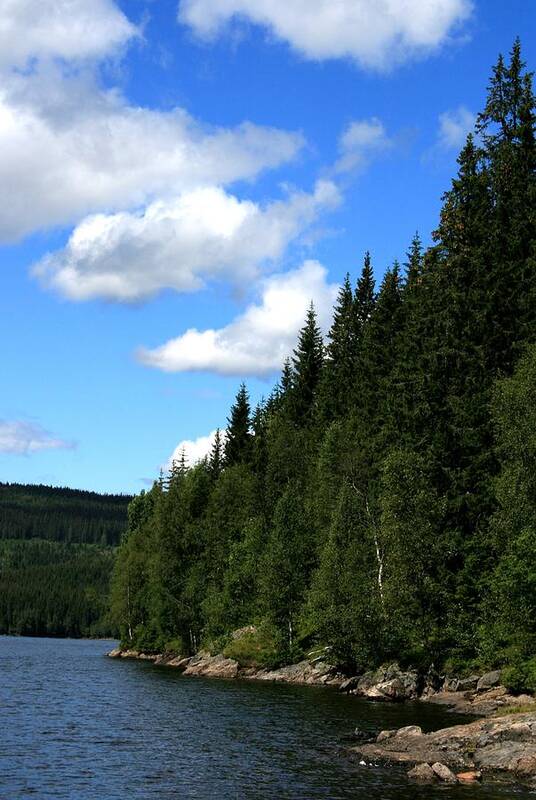 Landscape Threes Blue Sky Sunn Day Lake Waterfront Scandinavia Europe Outdoors Mother Nature Norway Summer Art Print featuring the photograph National Park by Jeanette Rode Dybdahl