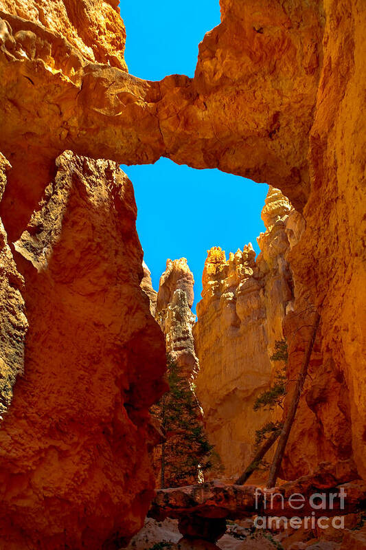 Rock Formations Art Print featuring the photograph Natural Bridge Bryce by Robert Bales