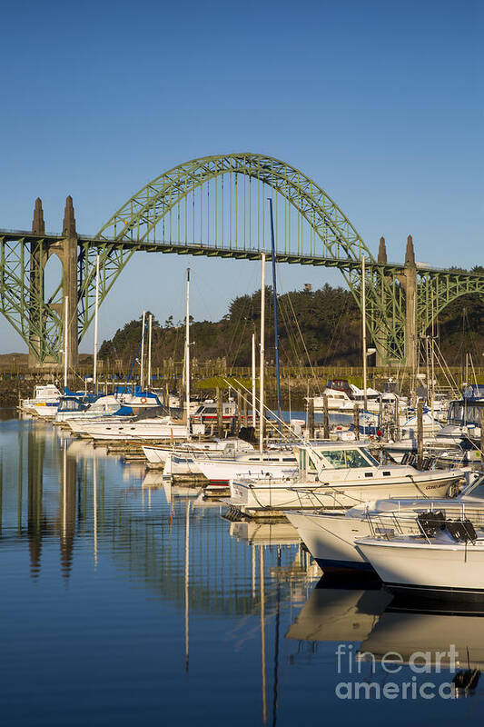 Oregon Art Print featuring the photograph Newport Harbor Morning by Brian Jannsen