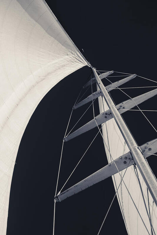 Sails Art Print featuring the photograph Obsession Sails 5 Black and White by Scott Campbell