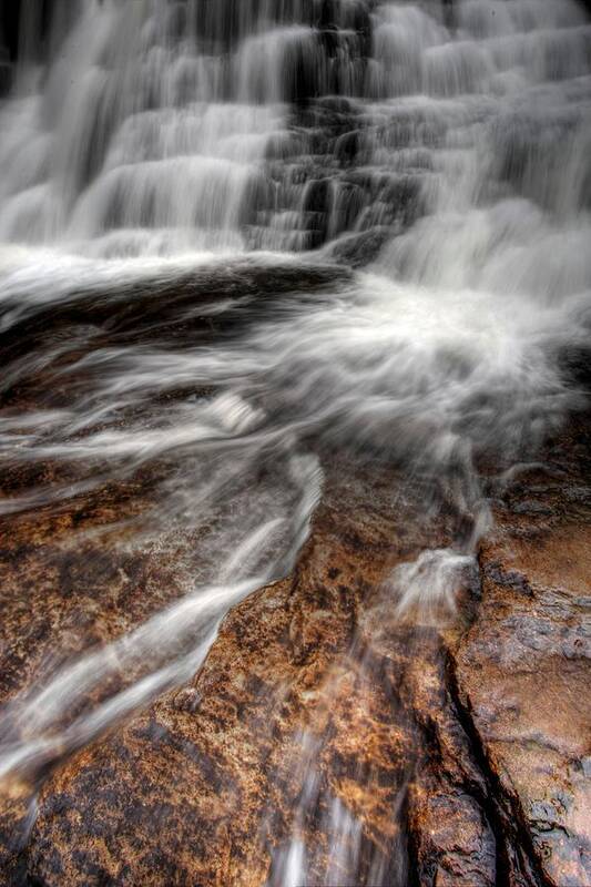 Canyon Stream Art Print featuring the photograph Off and Running by David Andersen