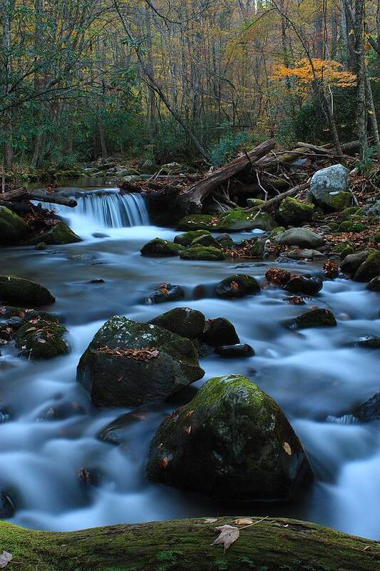 Color Art Print featuring the photograph Oconoluftee Mountain Stream by Nunweiler Photography