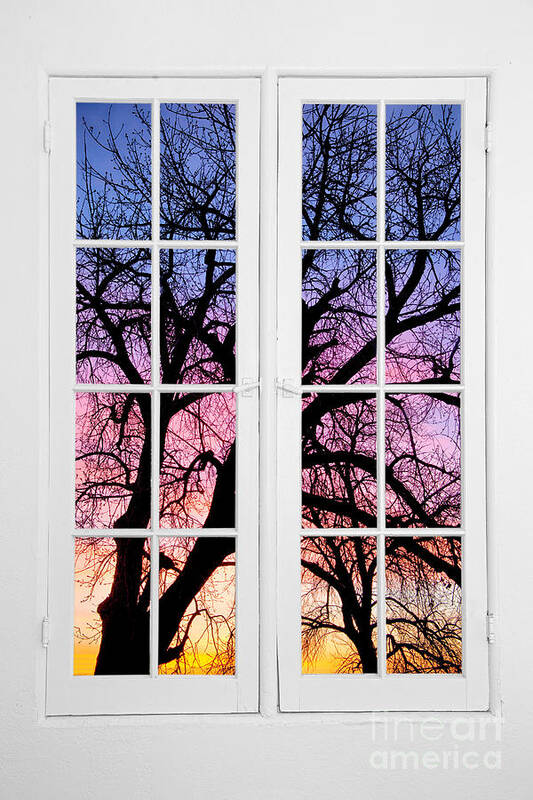 Colorful Art Print featuring the photograph Old 16 Pane White Window Colorful Sunset Tree View by James BO Insogna