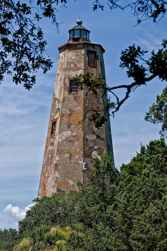 Sandra Anderson Art Print featuring the photograph Old Baldy by Sandra Anderson