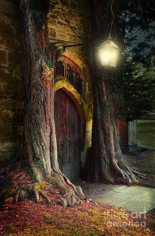 St.edwards Art Print featuring the photograph Old Church Door by Jill Battaglia