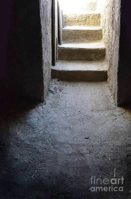 Cellar Art Print featuring the photograph Old Dirt Cellar Steps by Jill Battaglia