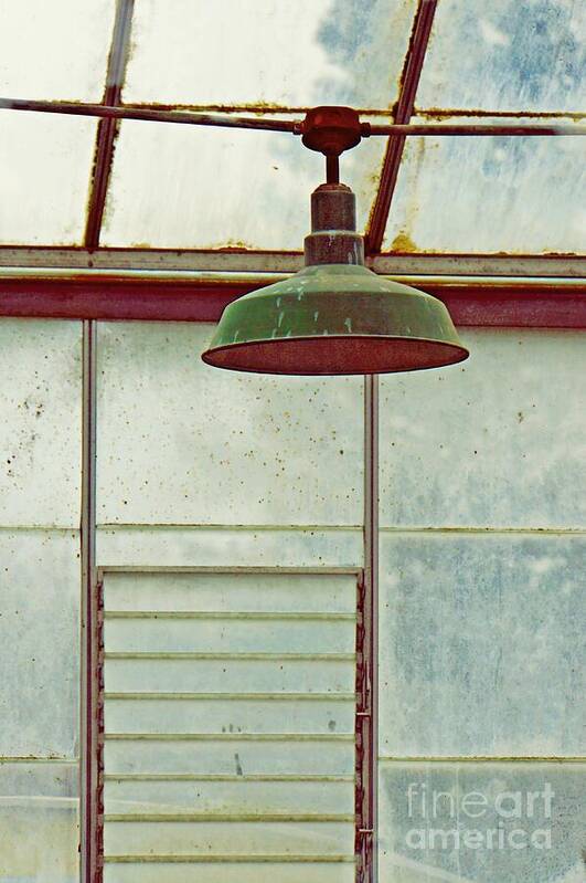 Abandoned Greenhouse Art Print featuring the photograph Old Green Lamp by Patricia Strand