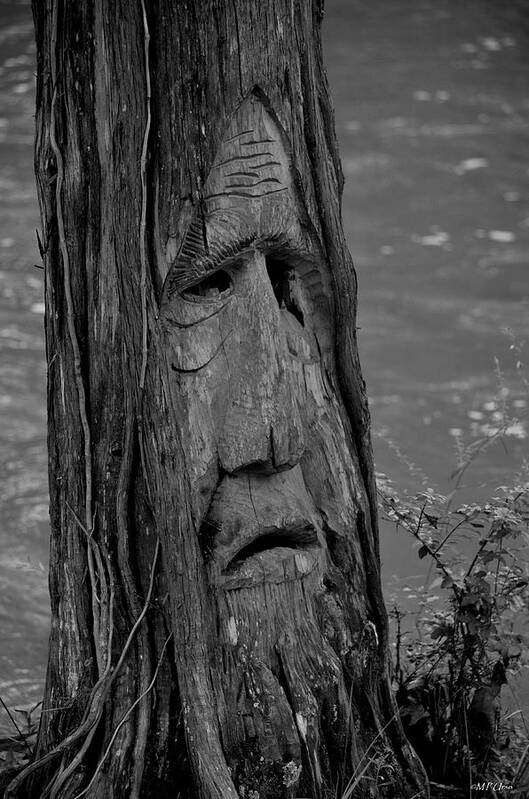 Old Man River Art Print featuring the photograph Old Man River by Maria Urso