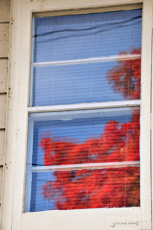 Window Art Print featuring the photograph Old Window Colorful Reflection by Joanne West