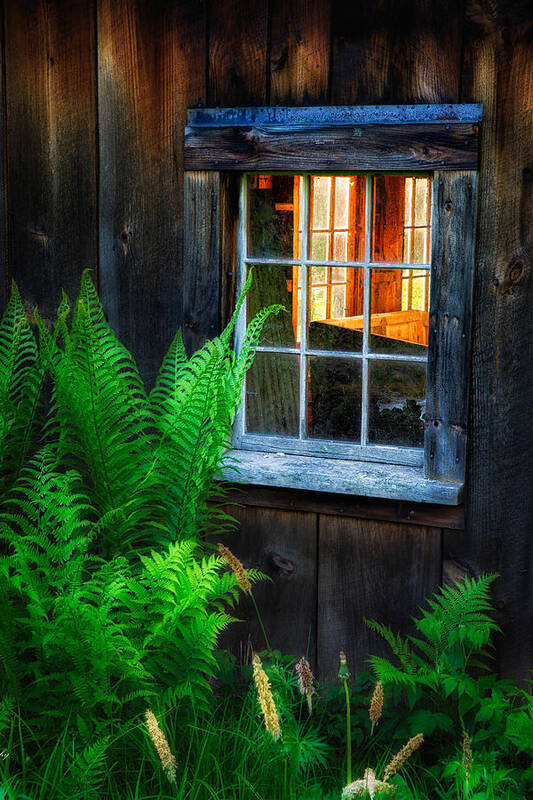  Art Print featuring the photograph Old Window by Darylann Leonard Photography