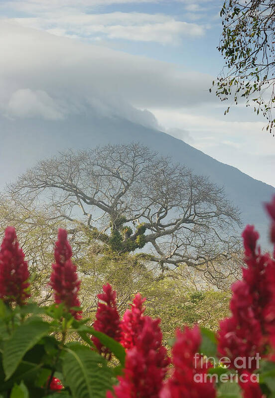 Prott Art Print featuring the photograph Ometepe Island 1 by Rudi Prott