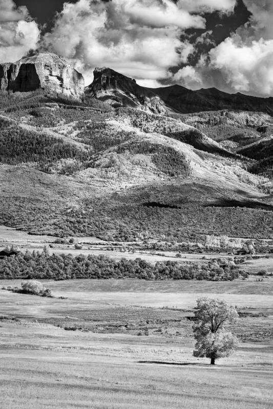 Art Art Print featuring the photograph One Stands Alone by Jon Glaser