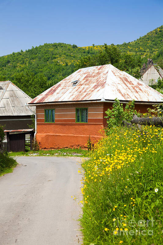 Rosia Montana Art Print featuring the photograph Orange house in a romanian village by Gabriela Insuratelu