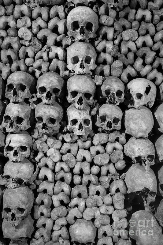 Bone Art Print featuring the photograph Paris Catacombs by Inge Johnsson