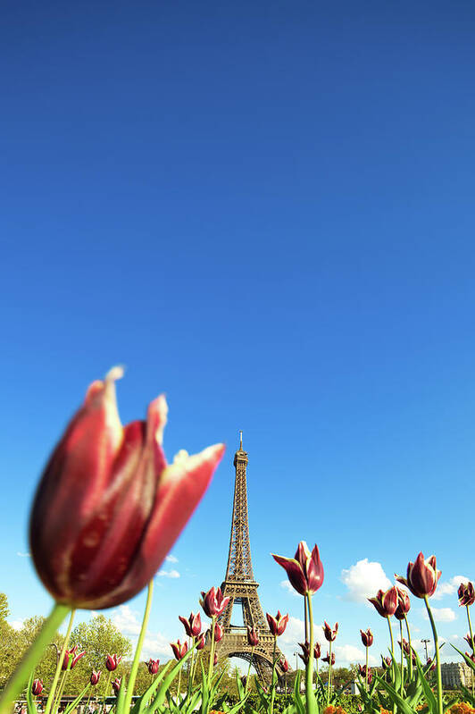 Scenics Art Print featuring the photograph Paris In Spring by Nikada