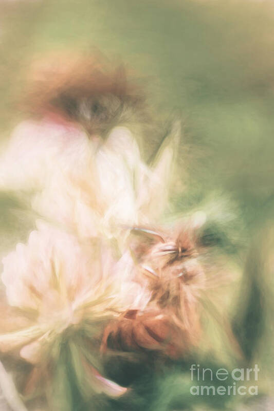 Pastel Art Print featuring the photograph Pastel painting of a honeybee insect by Jorgo Photography