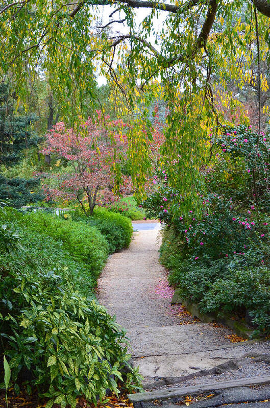 Arboretum Art Print featuring the painting Path 1 by Jeelan Clark