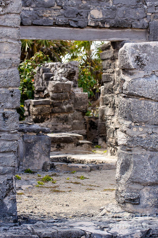Access Art Print featuring the photograph Path through Mayan Ruins by Jannis Werner