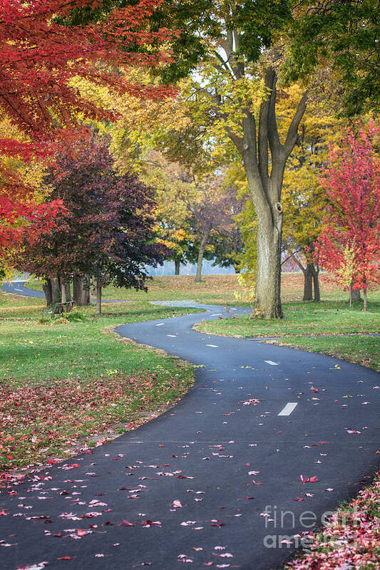 Winona Minnesota Art Print featuring the photograph Peaceful Autumn Path Winona Photo by Kari Yearous