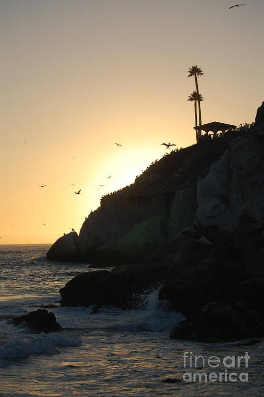 Pismo Beach Art Print featuring the photograph Pelicans Gliding At Sunset by Debra Thompson