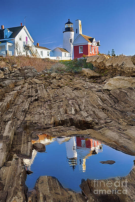Pemaquid Art Print featuring the photograph Pemaquid Point Lighthouse Reflection by Izet Kapetanovic