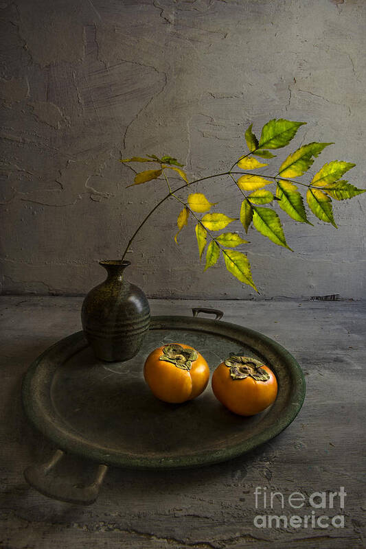 Persimmons Art Print featuring the photograph Persimmons by Elena Nosyreva