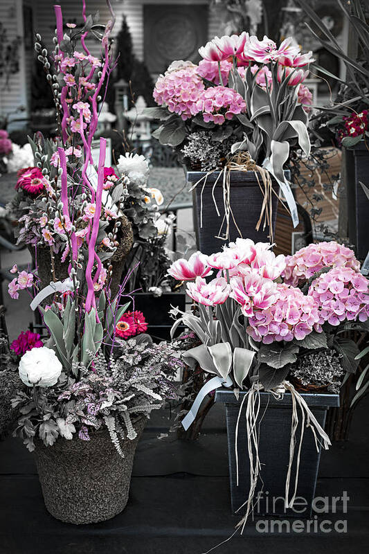 Flower Art Print featuring the photograph Pink flower arrangements by Elena Elisseeva