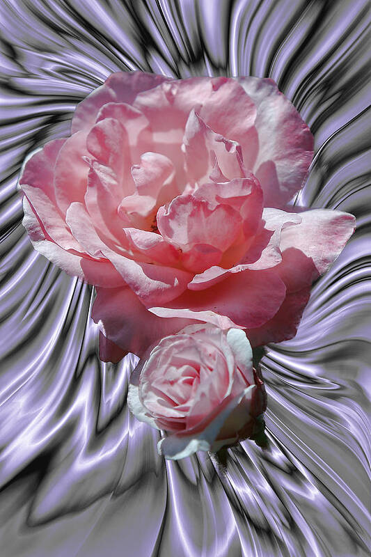 Foreign Art Print featuring the photograph Pink in Lavender by Linda Phelps