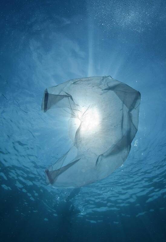 Environment Art Print featuring the photograph Plastic Bag In The Ocean by Scubazoo/science Photo Library