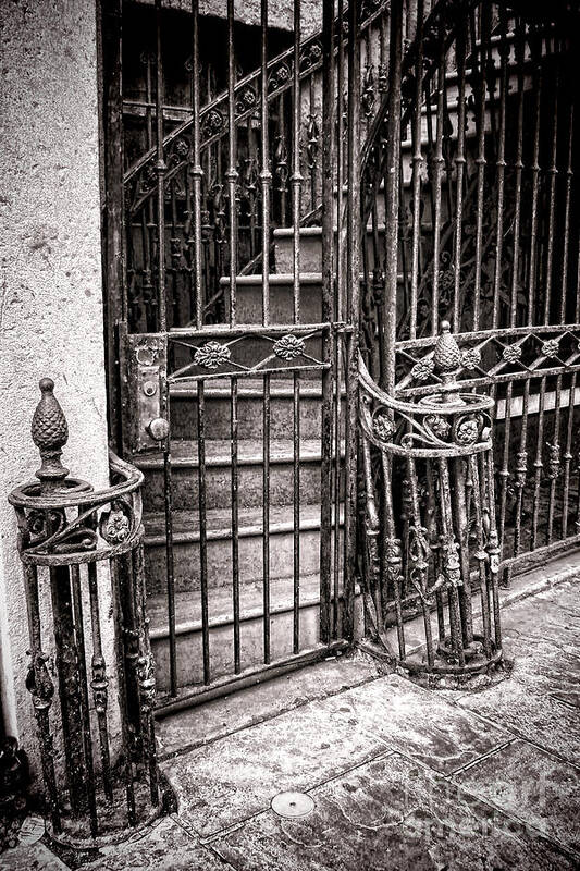 Gated Art Print featuring the photograph Private Stairway by Olivier Le Queinec